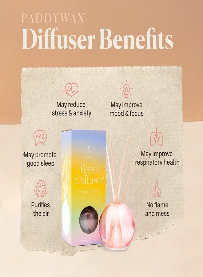 Paddywax Retro Glass Realm Collection Reed Diffuser, 4-Fluid Ounces, Green - Bamboo - Image 5