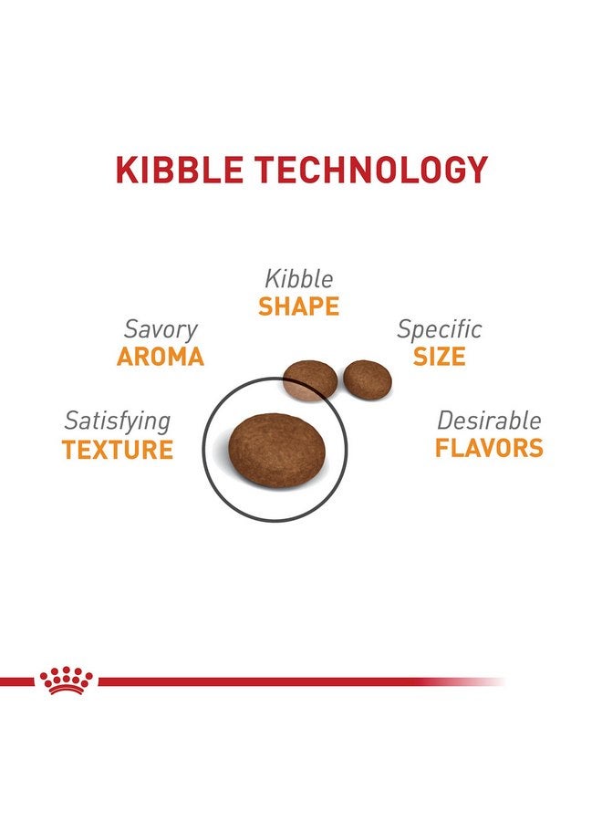 رويال كانين طعام القطط الجاف للعناية بالشعر والبشرة من رويال كانين، كيس 6 رطل - Image 2