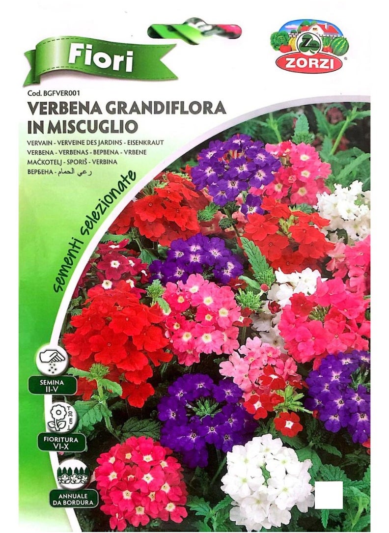ZORZI - Verbena Grandiflora IN MISCUGLIO Seeds - Image 1