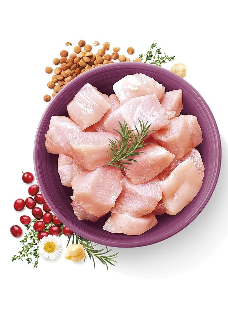 CARNILOVE - Carnilove True Fresh Chicken for Adult Cats 1.8kg - Image 1