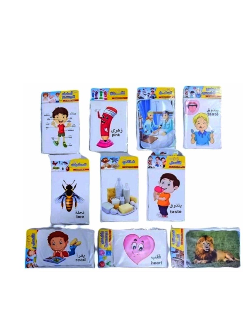 Flash cards (animals/insects/professions/geometric shapes/actions/colors/...)  - Image 2
