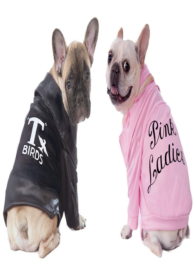 Rubies at Party City Grease: Pink Ladies Pet Costume for For Dogs or Cats by Rubies, Large - Image 3