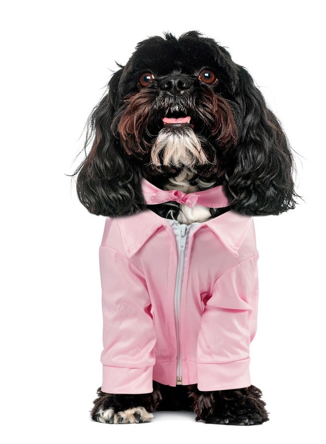 Rubies at Party City Grease: Pink Ladies Pet Costume for For Dogs or Cats by Rubies, Large - Image 2
