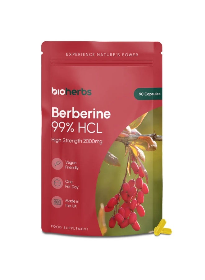 BioHerbs Berberine HCL Supplement High Strength - 99% HCL | 90 One-Per-Day Capsules (3-Month Supply) ,Supports healthy blood sugar levels ,Promotes cardiovascular health - Image 1