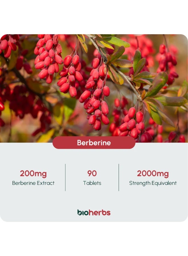 BioHerbs Berberine HCL Supplement High Strength - 99% HCL | 90 One-Per-Day Capsules (3-Month Supply) ,Supports healthy blood sugar levels ,Promotes cardiovascular health - Image 2
