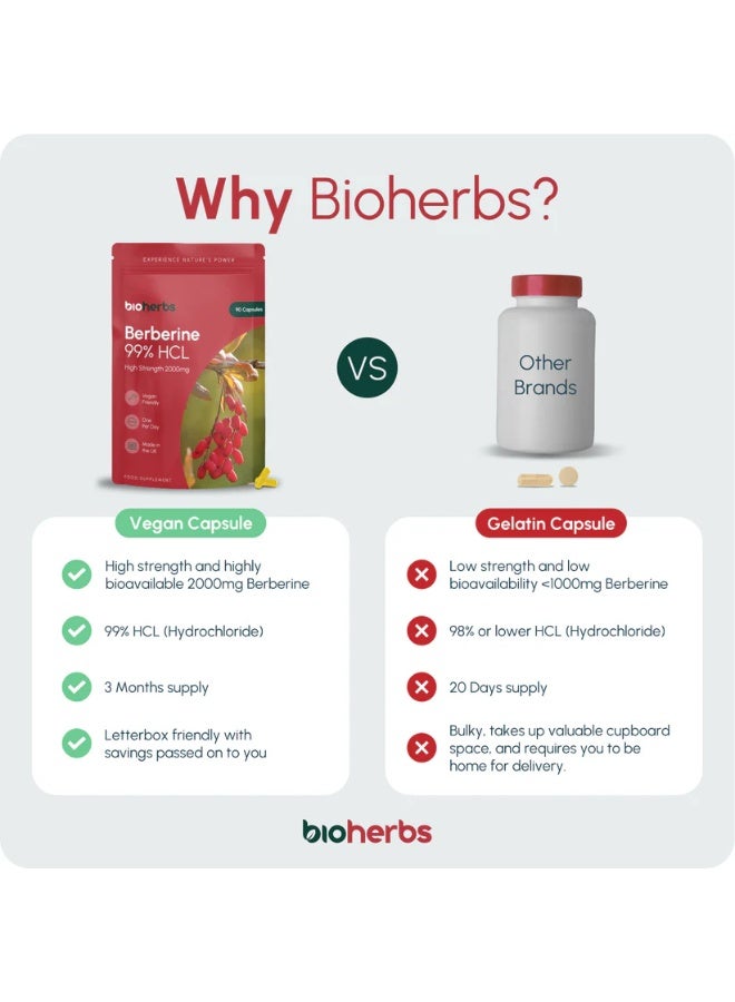 BioHerbs Berberine HCL Supplement High Strength - 99% HCL | 90 One-Per-Day Capsules (3-Month Supply) ,Supports healthy blood sugar levels ,Promotes cardiovascular health - Image 4