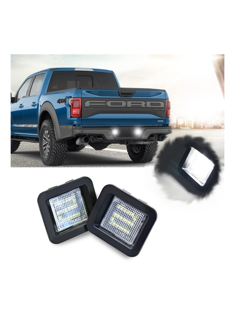 Y&D 2 Pack Led License Plate Light Assembly Replacement for Ford F150 2015 2016 2017 2018 2019 2020 Raptor 2016-2020 Ranger 2019-2020 Trucks Pickup, 6000K White  - Image 1