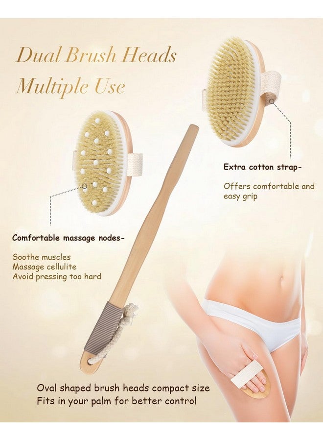 POPCHOSE Dry Brushing Body Brush, POPCHOSE Body Scrubber for Men Women, Back Scrubber for Shower, Natural Bristle Exfoliator Scrubber for Body Cellulite and Lymphatic, Long Handle, Detachable, Dual Brush Heads - Image 2