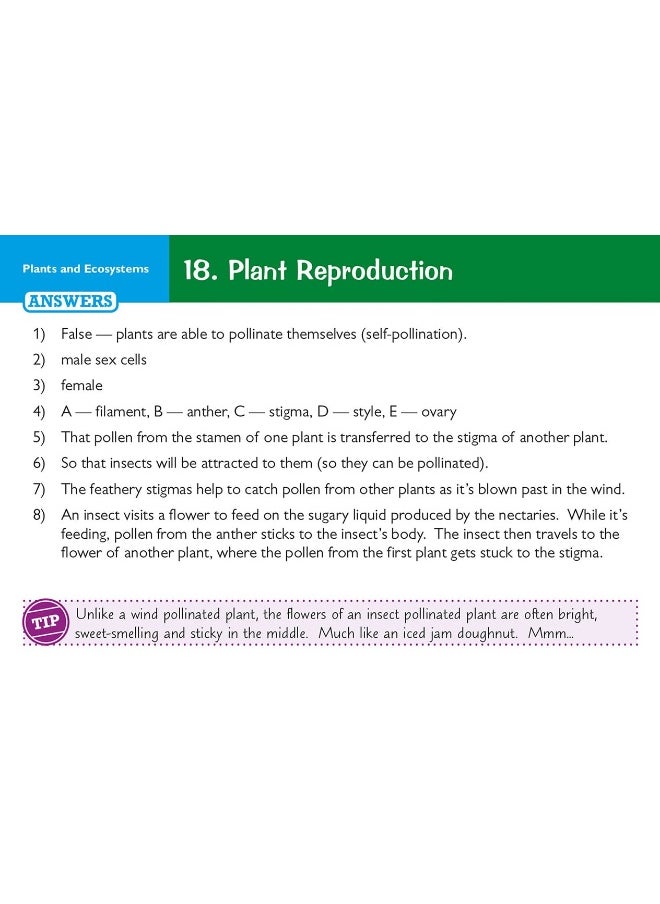 null - KS3 Science Revision Question Cards - Image 1