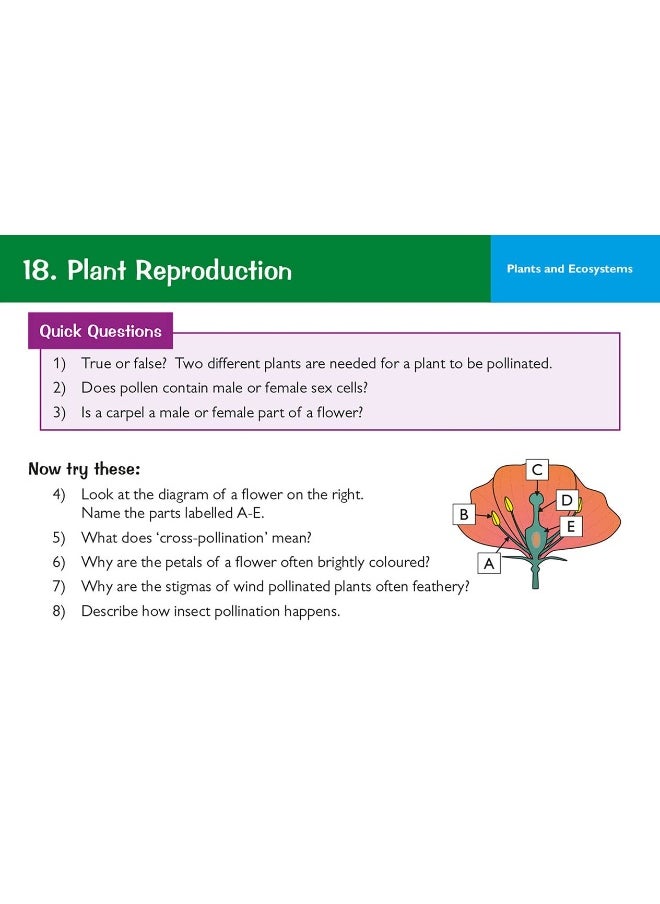 KS3 Science Revision Question Cards  - Image 5