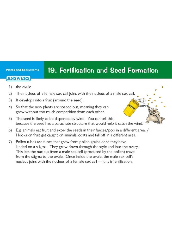 null - KS3 Science Revision Question Cards - Image 1