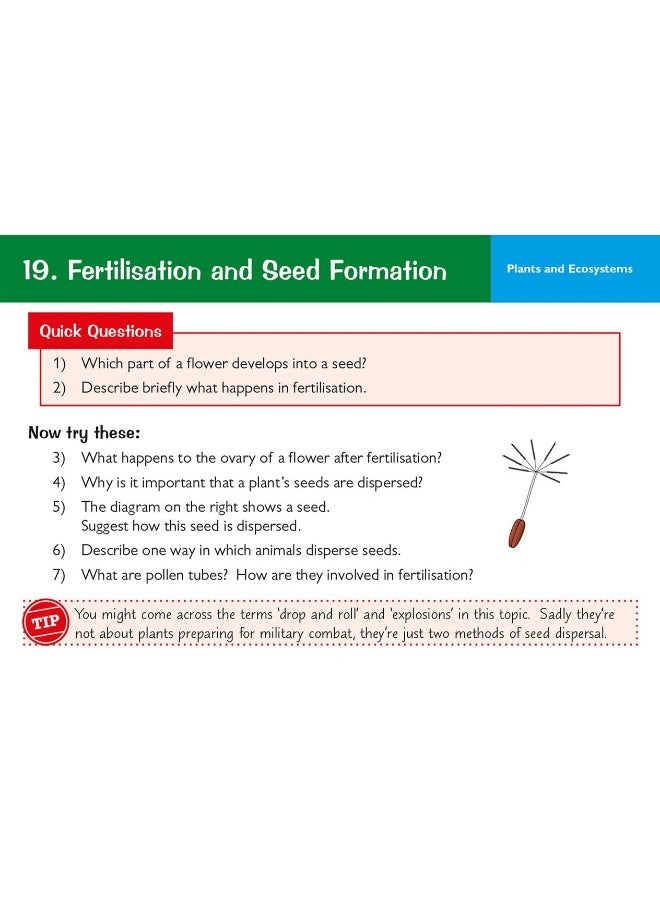 null - KS3 Science Revision Question Cards - Image 1