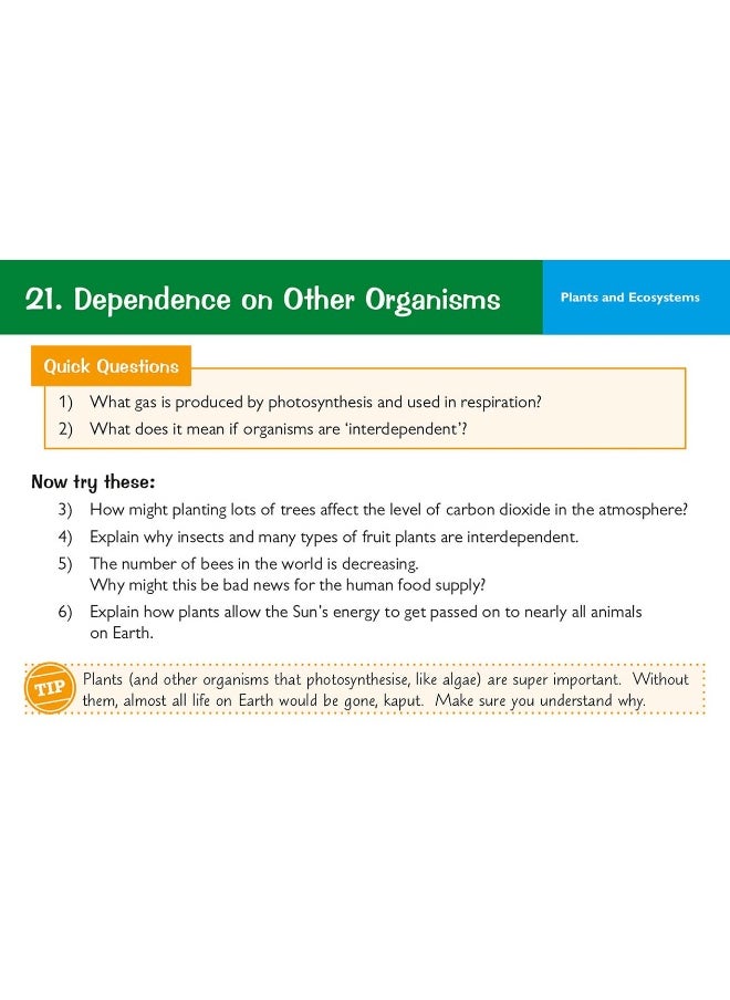 null - KS3 Science Revision Question Cards - Image 1
