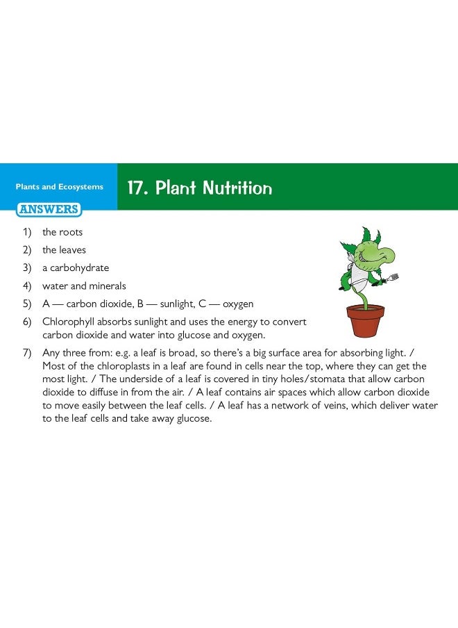 KS3 Science Revision Question Cards  - Image 4