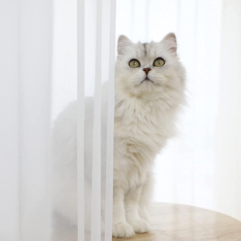 L&TEC Window White Sheer Curtains 84 Inches Long 2 Panels Sheer White Curtain Clear Basic Rod Pocket Panel Other Beige Grey Purple Pink 63 72 95 108 Inch Bedroom Children Living Room Yard Kitchen - Image 3