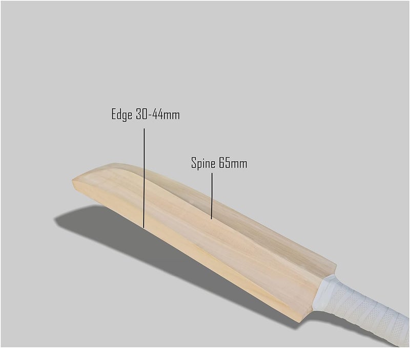 TR Kashmir Willow Cricket Bat with Shock Hand Grip & Padded Bat Protection Cover (SH) - Image 2