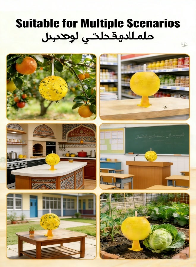 2 قطعة من ذبابة لاصقة القبض على الكرة القبض على الكرة ذبابة لاصقة على الكرة ذبابة لاصقة على الكرة ذبابة لاصقة على البعوض البعوض البعوض الطائر الطائر الطائر البعوض الحشرات الصغيرة القبض على الكرة مصائد (2 قطعة) - Image 4