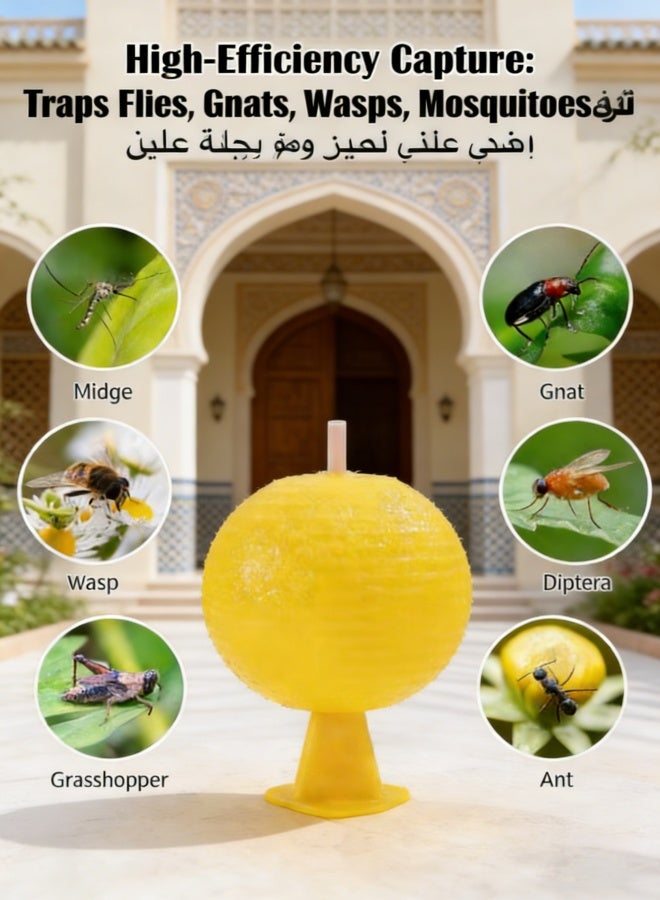 2 قطعة من ذبابة لاصقة القبض على الكرة القبض على الكرة ذبابة لاصقة على الكرة ذبابة لاصقة على الكرة ذبابة لاصقة على البعوض البعوض البعوض الطائر الطائر الطائر البعوض الحشرات الصغيرة القبض على الكرة مصائد (2 قطعة) - Image 5