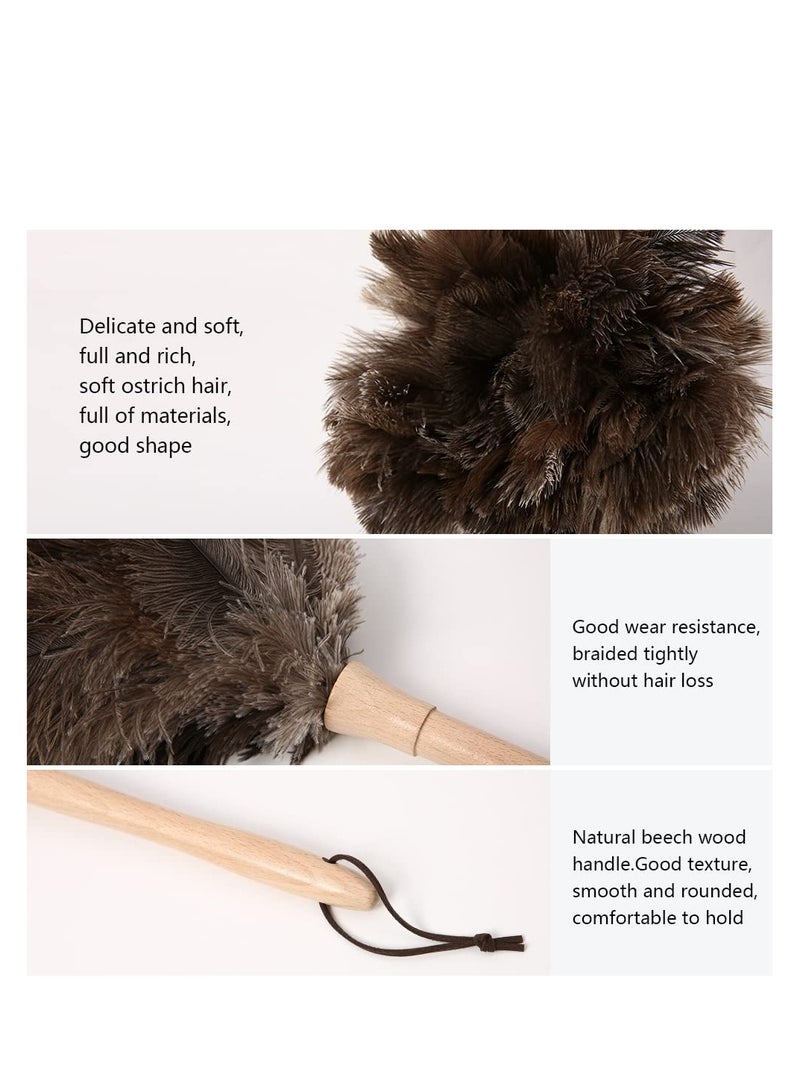 Natural Genuine Ostrich Feather Duster 16 inch with Wooden Handle Suitable for Effective Cleaning Supplies - Image 3