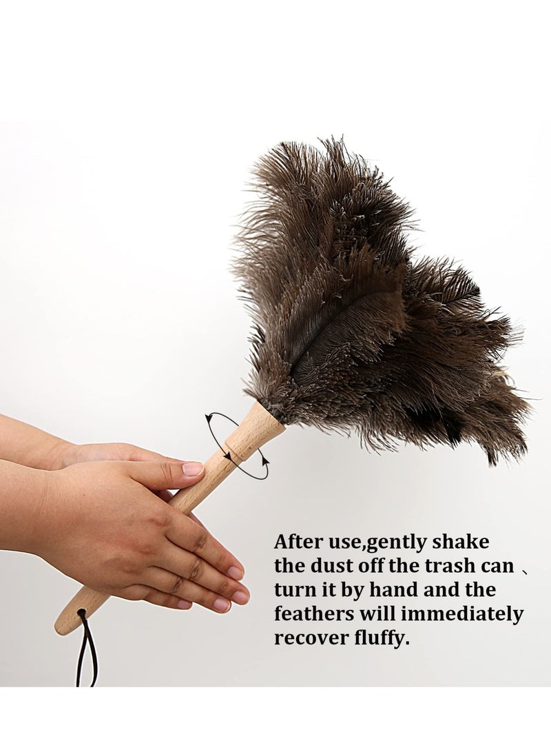 Natural Genuine Ostrich Feather Duster 16 inch with Wooden Handle Suitable for Effective Cleaning Supplies - Image 4