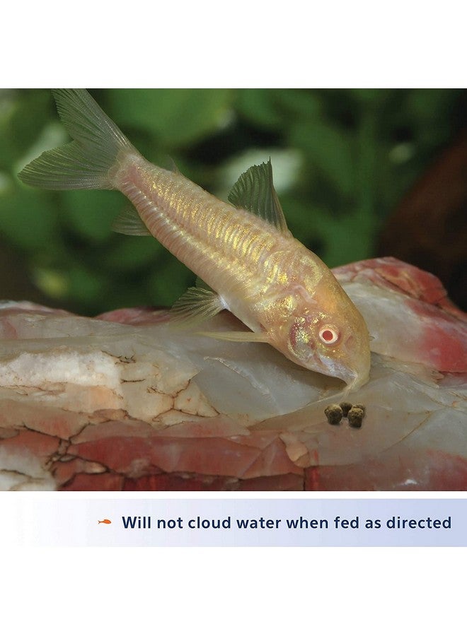 Aqueon (3 Pack) Aqueon Shrimp Pellets Fish Food, 6.5 Ounces Each - Image 5