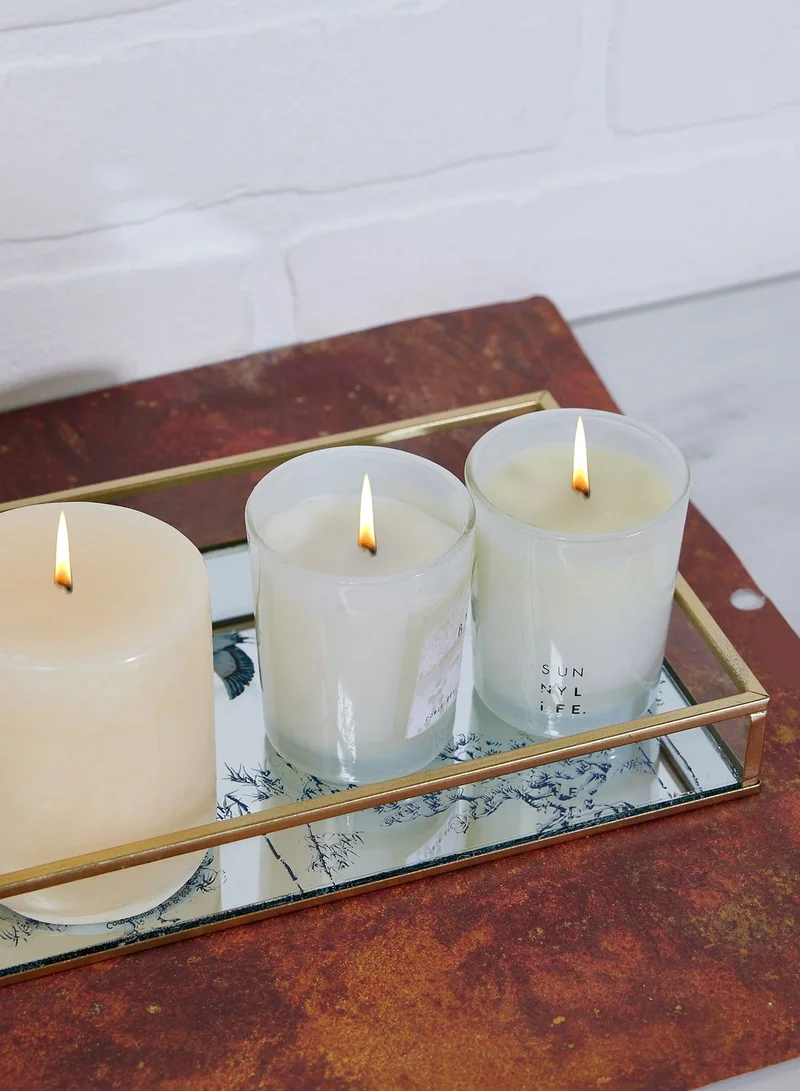 AURORA Mirrored Glass And Metal Tray - Heron Design