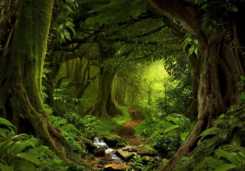 Bormia Fantasy Forest Wall Mural 151"x105" Large Photo Wallpaper Landscape Wall Decal for Livingroom Bedroom (Paste Not Included) - Image 2