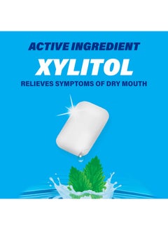 Dry Mouth Moisturizing Gum, 20 Pieces, With Xylitol, Sugar Free Soothing Mint - pzsku/Z03459097078588E6EE3DZ/45/_/1730728089/1b1244b5-35d0-4598-af57-456d459a4d6d