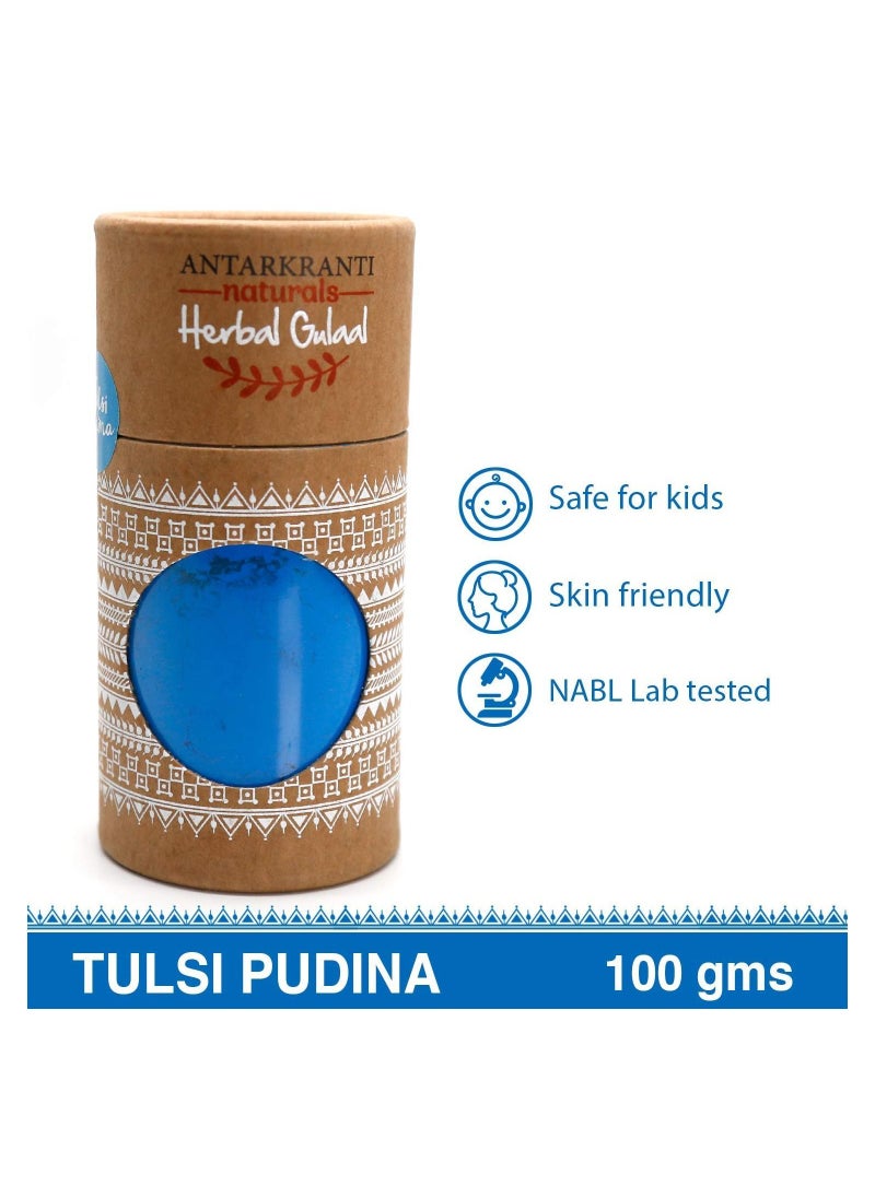 Antarkranti Tesu Flower Rose Petals Marigold Red Sandalwood Sandalwood Maize Starch Food colours Naturals Herbal Handmade Gulal Pink Blue And Orange 3X100gm  - Image 4