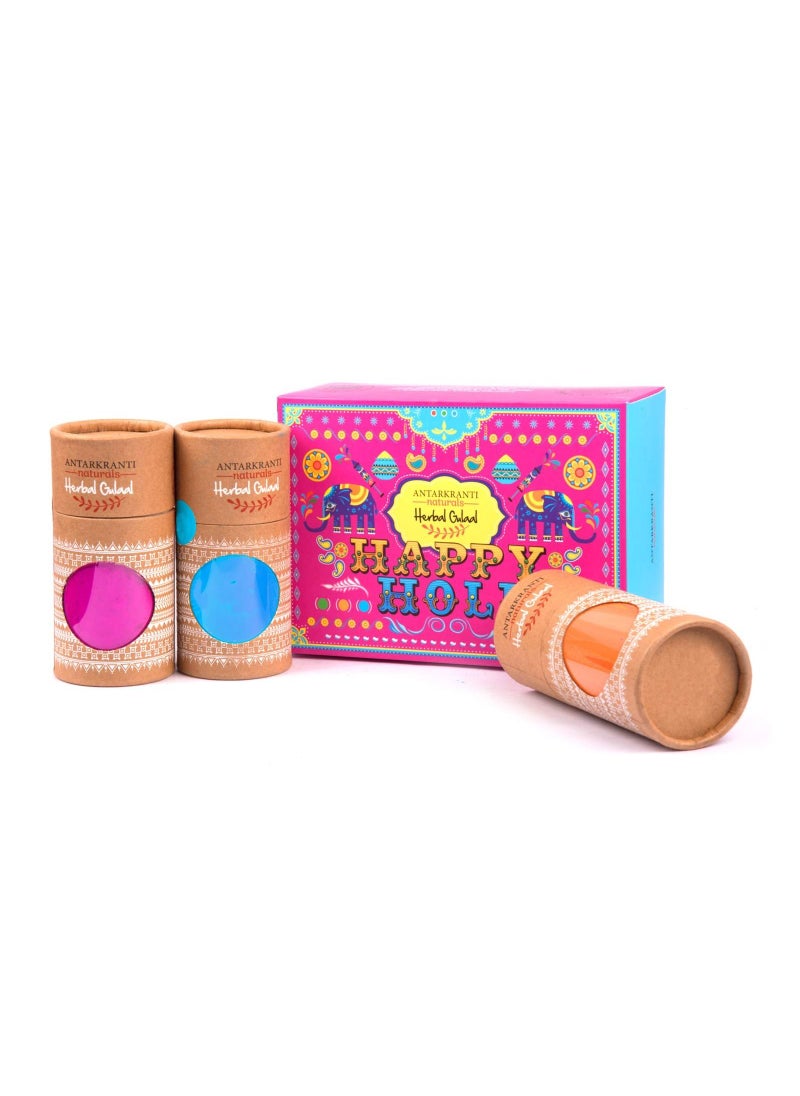 Antarkranti Tesu Flower Rose Petals Marigold Red Sandalwood Sandalwood Maize Starch Food colours Naturals Herbal Handmade Gulal Pink Blue And Orange 3X100gm  - Image 1
