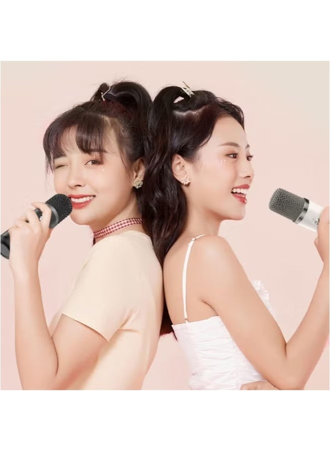 YS -219 Bluetooth Karaoke Speaker System with Dual Wireless Microphones – Portable Outdoor Sound System with Deep Bass, Vocal Effects, USB/TF Card Support, Rechargeable Battery – Ideal for Parties, Events, and Gatherings – Black - Image 4