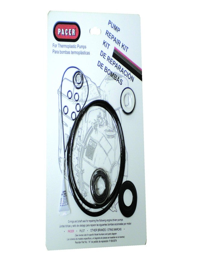 PACER PUMPS, DIV. OF ASM IND P-58-0074 Pump Seal Kit Without Rings - Image 1
