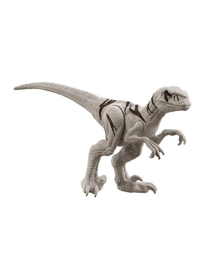 JURASSIC WORLD شخصية دومينيون أتروسيرابتور على شكل ديناصور مقاس 12 بوصة  - Image 2