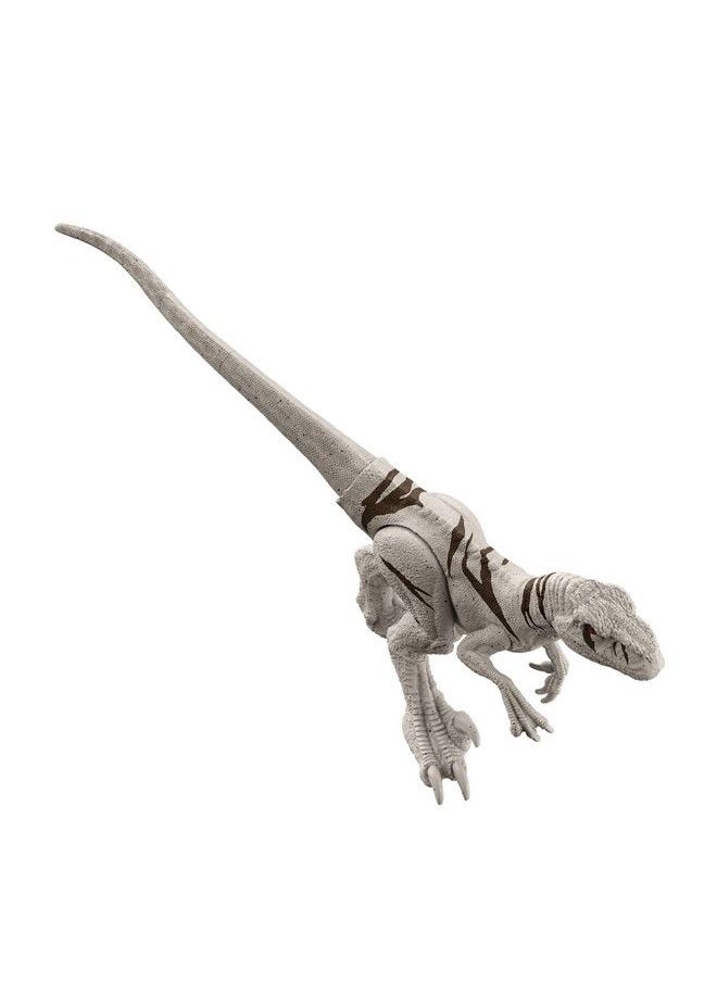JURASSIC WORLD شخصية دومينيون أتروسيرابتور على شكل ديناصور مقاس 12 بوصة  - Image 4
