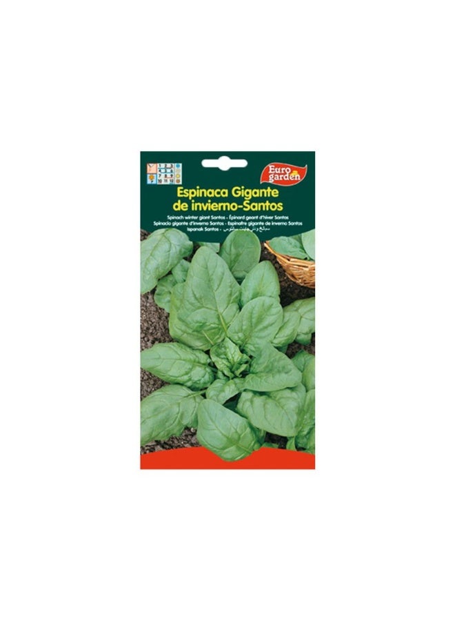 Euro Garden EG Spinach Seeds