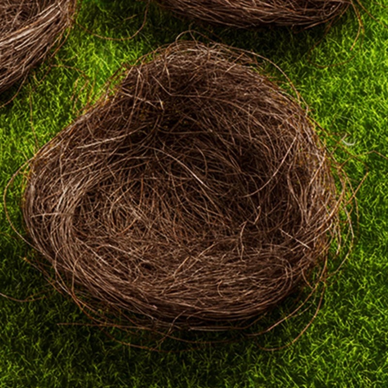 Light Brown Landscape Bird Nest Plate Decor 16pcs Craft Party Favors - Image 3