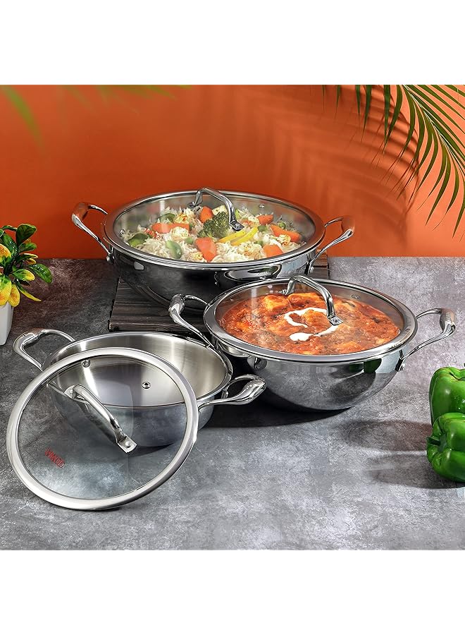 فينود قدر بلاتينيوم ثلاثي الطبقات من الفولاذ المقاوم للصدأ، عميق جدًا، مع غطاء زجاجي، سعة 1.2 لتر، قطر 18 سم | سمك 2.5 مم | مقابض جانبية متينة مثبتة بمسامير | مناسب لمواقد الحث والغاز | معدن ساس (عبوة من قطعتين) - Image 2