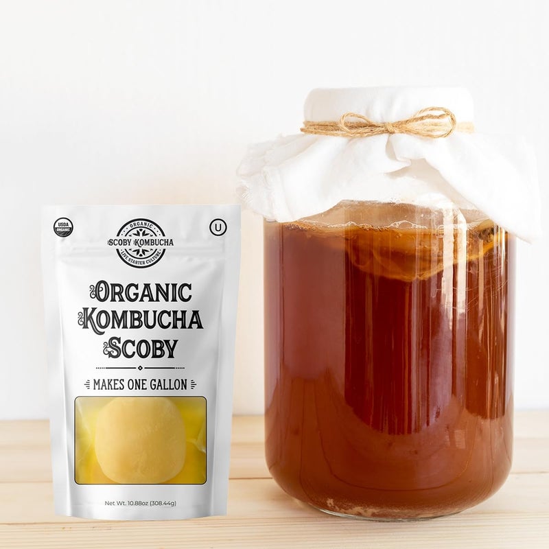 Scoby Kombucha Organic Kombucha SCOBY - Live Culture for Home Brewing - Image 2