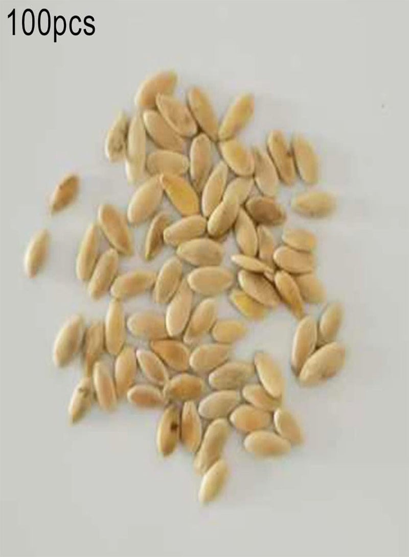 GGOOT 100Pcs Pepino Seeds,Sweet Melon Fruit Vegetable Bonsai Garden Yard Rare Plant for Planting Garden Yard Outdoor 1 Pepino Seeds - Image 2