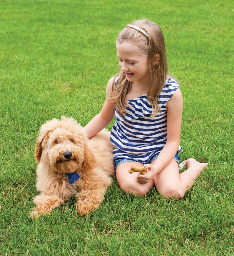 Nordic Ware Puppy Love Dog Treat, Mix, Brown - Image 3