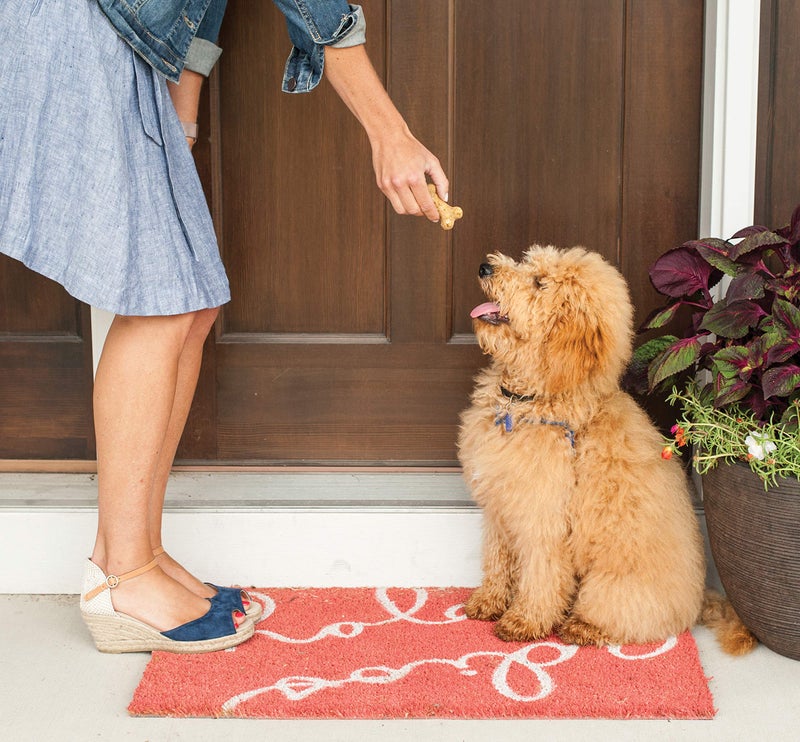 Nordic Ware Puppy Love Dog Treat, Mix, Brown - Image 5