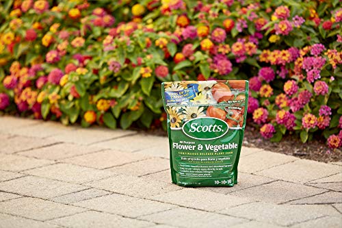 Scotts All Purpose Flower and Vegetable Continuous Release Plant Food, For Outdoor In-Ground Plants, 3 lb. - Image 2