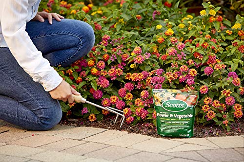 Scotts All Purpose Flower and Vegetable Continuous Release Plant Food, For Outdoor In-Ground Plants, 3 lb. - Image 5