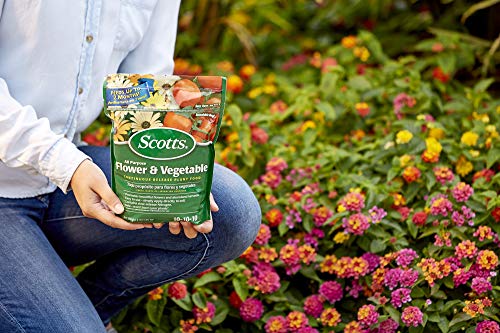 Scotts All Purpose Flower and Vegetable Continuous Release Plant Food, For Outdoor In-Ground Plants, 3 lb. - Image 3