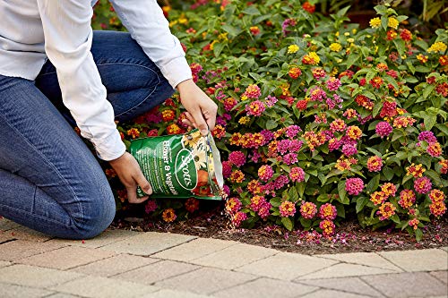 Scotts All Purpose Flower and Vegetable Continuous Release Plant Food, For Outdoor In-Ground Plants, 3 lb. - Image 4