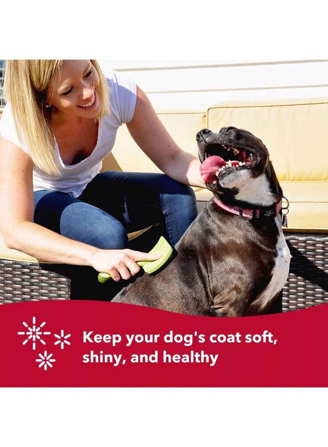 Coastal Safari - Curved Firm Slicker Dog Brush, No Color, One Size (7.5" L x 4.5" W) - Image 4