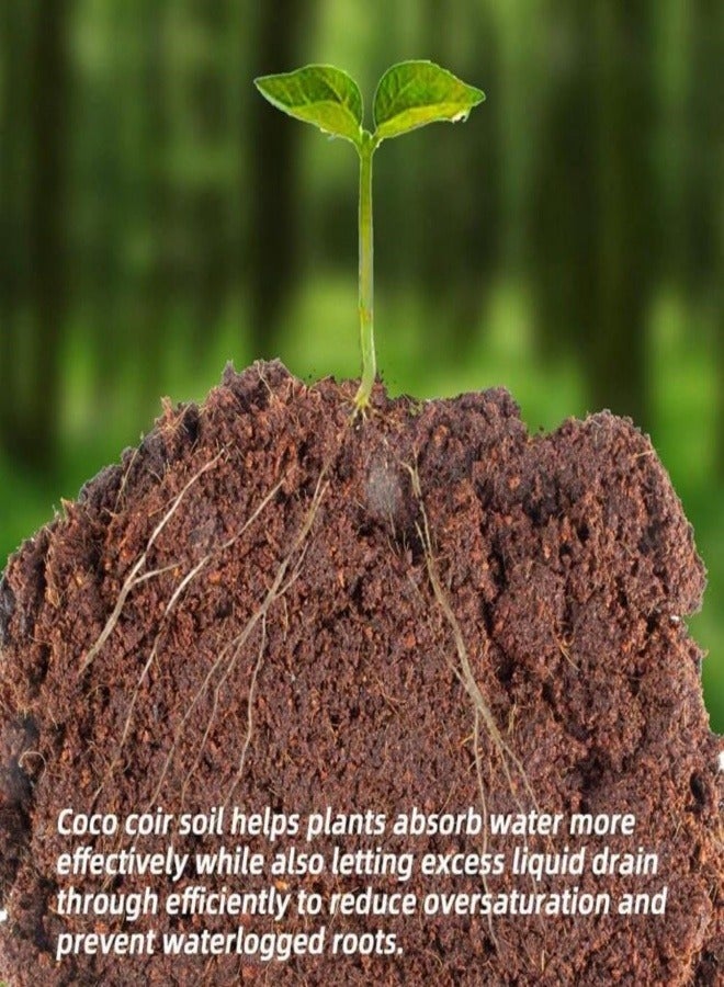 Generic 650gms Coco Coir Brick for Plants, Premium 100% Organic Peat moss mix With Low EC  PH Balance, Fiber Coconut Husk for Planting, Gardening, Potting Soil Substrate (1 Block)  - Image 2