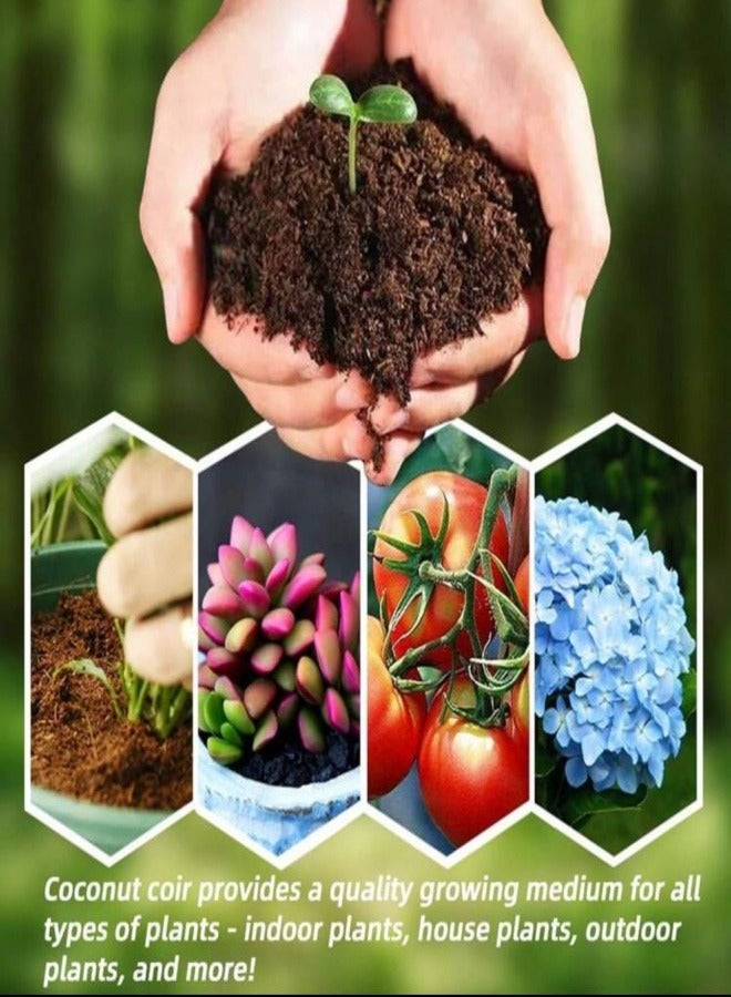 Generic 650gms Coco Coir Brick for Plants, Premium 100% Organic Peat moss mix With Low EC  PH Balance, Fiber Coconut Husk for Planting, Gardening, Potting Soil Substrate (1 Block)  - Image 3