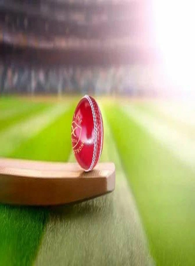 BOXCO Skyline Hand Stiched Four Piece Cricket Leather Ball (Pack of 1) for T20, One Day and Test Matches (Skyline, Red), - Image 5