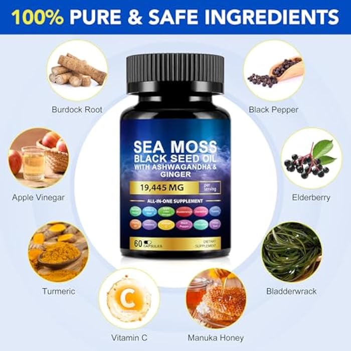 Vortexonix Sea Moss Black Seed Oil Ashwagandha Ginger Turmeric Capsules, Sea Moss Gummies Supplement with Burdock Root Bladderwrack Vitamin C Vitamin D3 Yellow Dock Iodine Chlorophyll ACV - 60 Count - Image 2